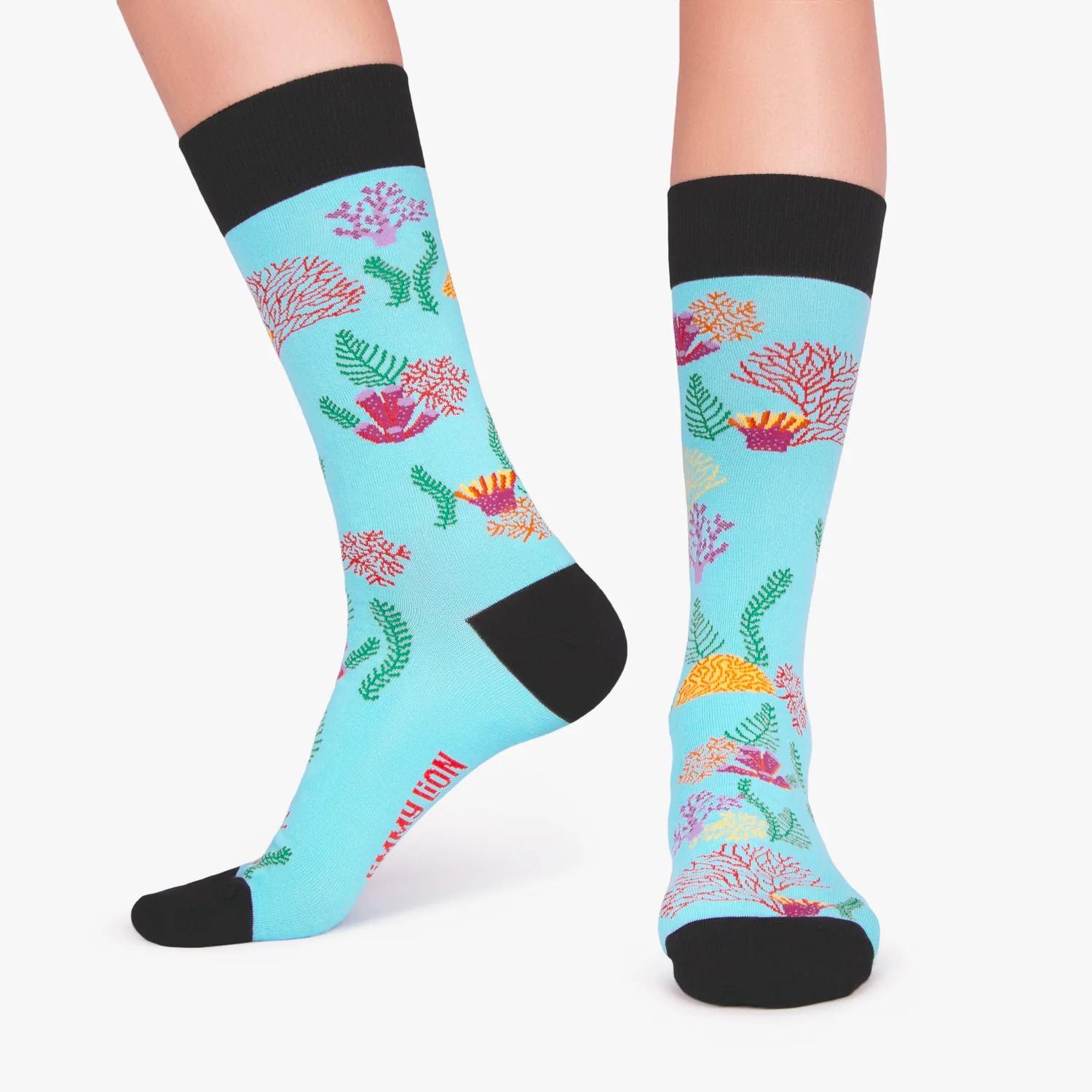 Reef - Sky Blue - Image 3